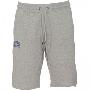 RUSSELL ΑΝΔΡΙΚΟ SHORTS ΓΚΡΙ A0-097-1-091-VK RUSSELL ΑΝΔΡΙΚΟ SHORTS ΓΚΡΙ A0-097-1-091-VK