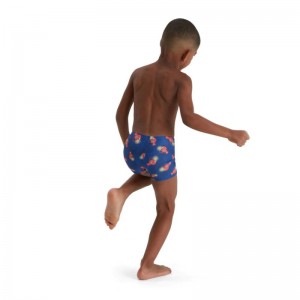 SPEEDO DIGITAL ALLOVER AQUASHORT ΜΠΛΕ ΜΑΓΙΟ (8-05394G699) SPEEDO DIGITAL ALLOVER AQUASHORT ΜΠΛΕ ΜΑΓΙΟ (8-05394G699)