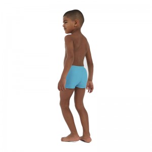 Speedo Boys Placement Aquashort ΜΠΛΕ ΜΑΓΙΟ ΠΑΙΔΙΚΟ (8-05394G811) Speedo Boys Placement Aquashort ΜΠΛΕ ΜΑΓΙΟ ΠΑΙΔΙΚΟ (8-05394G811)