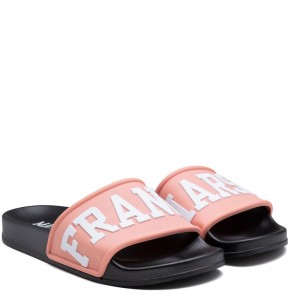 Franklin & Marshall Slipper Double Slides (FTUA0009S-1879)ΓΥΝΑΙΚΕΙΑ ΠΑΝΤΟΦΛΑ ΚΟΡΑΛΙ/ΜΑΥΡΟ Franklin & Marshall Slipper Double Slides (FTUA0009S-1879)ΓΥΝΑΙΚΕΙΑ ΠΑΝΤΟΦΛΑ ΚΟΡΑΛΙ/ΜΑΥΡΟ