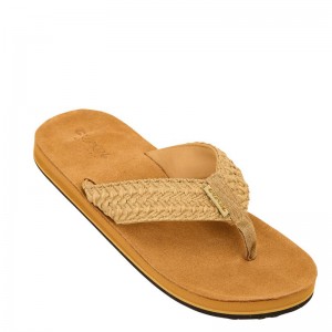 COOL ZEPHYR SUGAR (S2SLA040-SUGAR)ΓΥΝΑΙΚΕΙΕΣ ΣΑΓΙΟΝΑΡΕΣ ΚΑΦΕ COOL ZEPHYR SUGAR (S2SLA040-SUGAR)ΓΥΝΑΙΚΕΙΕΣ ΣΑΓΙΟΝΑΡΕΣ ΚΑΦΕ
