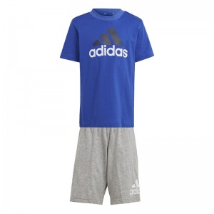 Adidas Essentials Logo Set KIDS (IS2470)ΠΑΙΔΙΚΟ ΣΕΤ ΜΠΛΕ/ΓΚΡΙ