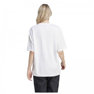 ADIDAS FLWR BOS GT (IT1421)ΓΥΝΑΙΚΕΙΟ T-SHIRT ΕΚΡΟΥ ADIDAS FLWR BOS GT (IT1421)ΓΥΝΑΙΚΕΙΟ T-SHIRT ΕΚΡΟΥ