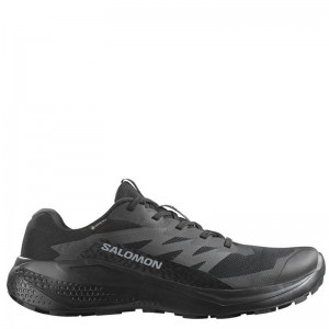 Salomon Alphaglide GTX (478021)Ανδρικά Παπούτσια Αδιάβροχα με Μεμβράνη Gore-Tex Μαύρα Salomon Alphaglide GTX (478021)Ανδρικά Παπούτσια Αδιάβροχα με Μεμβράνη Gore-Tex Μαύρα