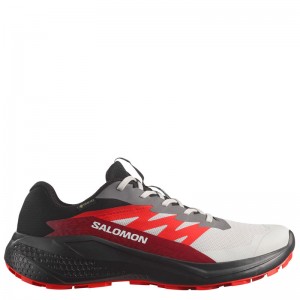 Salomon Alphaglide GΤΧ (478022)Ανδρικά Παπούτσια Running Αδιάβροχα με Μεμβράνη Gore-Tex GREY/RED/BLACK Salomon Alphaglide GΤΧ (478022)Ανδρικά Παπούτσια Running Αδιάβροχα με Μεμβράνη Gore-Tex GREY/RED/BLACK