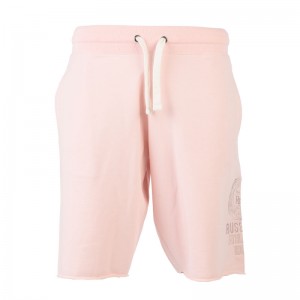 RUSSELL ATHLETIC SEAMLESS SHORTS (A25-062-1-670)ΑΝΔΡΙΚΗ ΒΕΡΜΟΥΔΑ PALE LILAC RUSSELL ATHLETIC SEAMLESS SHORTS (A25-062-1-670)ΑΝΔΡΙΚΗ ΒΕΡΜΟΥΔΑ PALE LILAC