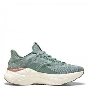 PUMA SOFTRIDE Mayve Women PUMA SOFTRIDE Mayve Women