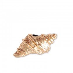 Crocs Jibbitz™ charms Gold Sea Shell (10011620-UNC)ΔΙΑΚΟΣΜΗΤΙΚΑ ΓΙΑ ΣΑΜΠΟ ΧΡΥΣΟ