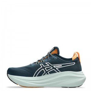 ASICS GEL-NIMBUS 27 TR (1011C136-300)ΑΝΔΡΙΚΑ ΠΑΠΟΥΤΣΙΑ TRAIL-RUNNING Nature Bathing/Tranquil Teal ASICS GEL-NIMBUS 27 TR (1011C136-300)ΑΝΔΡΙΚΑ ΠΑΠΟΥΤΣΙΑ TRAIL-RUNNING Nature Bathing/Tranquil Teal