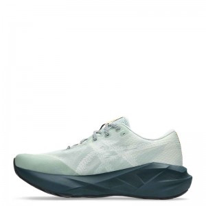ASICS NOVABLAST 5 TR (1011C138-300)ΑΝΔΡΙΚΑ ΠΑΠΟΥΤΣΙΑ TRAIL-RUNNING Nature Bathing / Lichen Rock ASICS NOVABLAST 5 TR (1011C138-300)ΑΝΔΡΙΚΑ ΠΑΠΟΥΤΣΙΑ TRAIL-RUNNING Nature Bathing / Lichen Rock