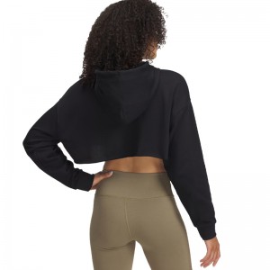 Under Armour Icon Terry Crop Hoodie Γυναικείο (1389640 001) Μαύρο
