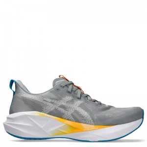 ASICS NOVABLAST 5 (1011B974-020)ΑΝΔΡΙΚΑ ΠΑΠΟΥΤΣΙΑ RUNNING GRAVEL/WHITE