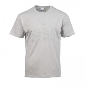 Russell Athletic Crewneck Tee Shirt ΑΝΔΡΙΚΟ ΜΠΛΟΥΖΑΚΙ  ΓΚΡΙ  A26-012-1- PB-120-PEARL BLUE