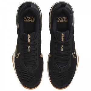 Nike Air Max Alpha Trainer 6 (FQ1833-012)ΑΝΔΡΙΚΑ ΠΑΠΟΥΤΣΙΑ TRAINING Black/Sail/Gum Light Brown/Parachute Beige