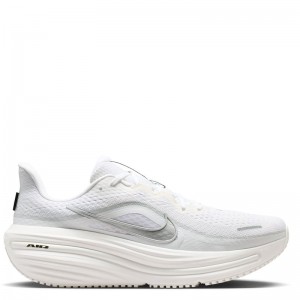 Nike Winflo 12 Men