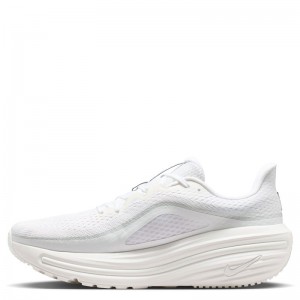 Nike Winflo 12 Men