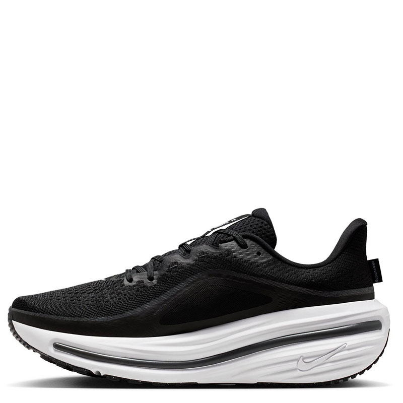 Nike Winflo 12 Men