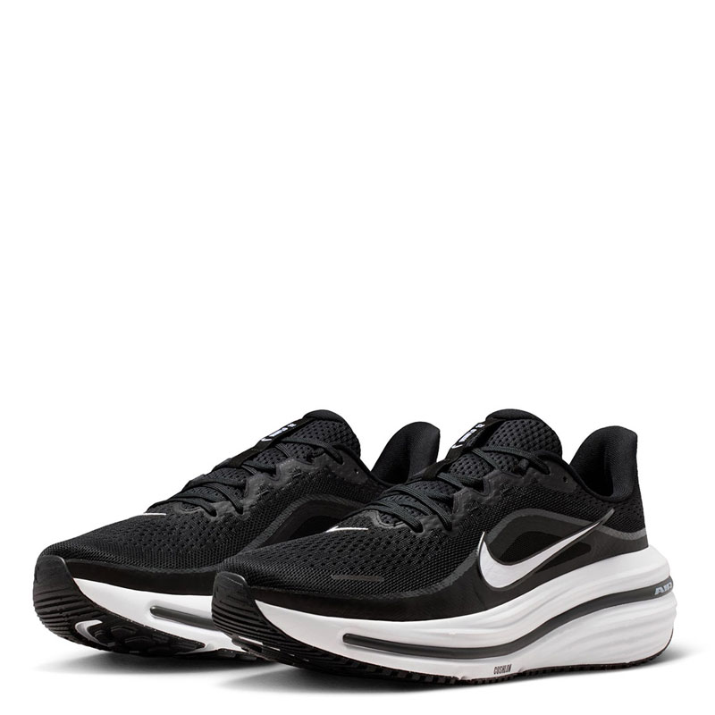Nike Winflo 12 Men