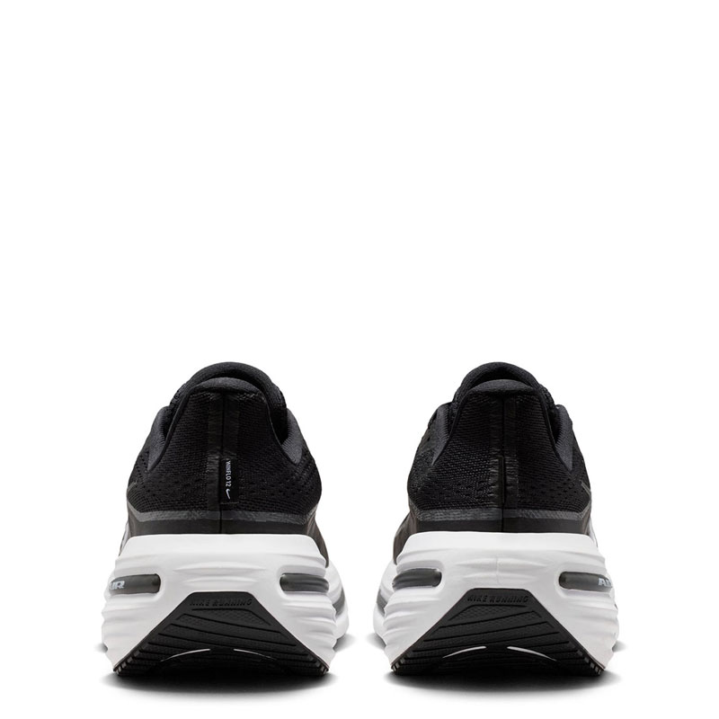 Nike Winflo 12 Men