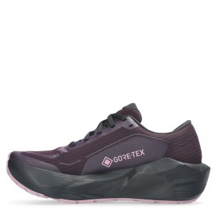 ASICS Novablast 6 GTX WMNS (1012C021-500)ΓΥΝΑΙΚΕΙΑ ΠΑΠΟΥΤΣΙΑ ΑΔΙΑΒΡΟΧΑ Purple/Black/Dark Aubergin ASICS Novablast 6 GTX WMNS (1012C021-500)ΓΥΝΑΙΚΕΙΑ ΠΑΠΟΥΤΣΙΑ ΑΔΙΑΒΡΟΧΑ Purple/Black/Dark Aubergin