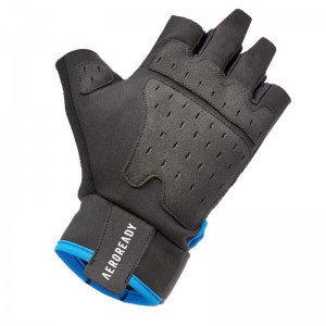 Adidas Performance Training Gloves LARGE (ADGB-15013BL)ΓΑΝΤΙΑ ΓΥΜΝΑΣΤΗΡΙΟΥ ΜΠΛΕ/ΜΑΥΡΟ Adidas Performance Training Gloves LARGE (ADGB-15013BL)ΓΑΝΤΙΑ ΓΥΜΝΑΣΤΗΡΙΟΥ ΜΠΛΕ/ΜΑΥΡΟ