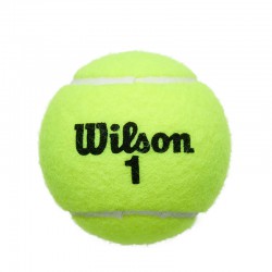 Wilson Championship Extra Duty All Court (WRT110000)Μπαλάκια Τένις 4 ΤΕΜΑΧΙΑ