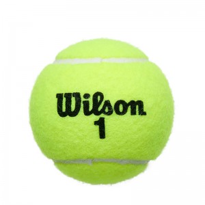 Wilson Championship Extra Duty All Court (WRT110000)Μπαλάκια Τένις 4 ΤΕΜΑΧΙΑ