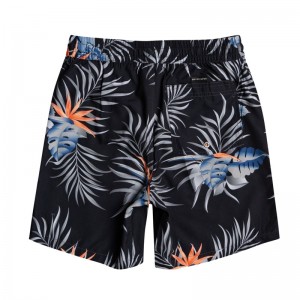 Quiksilver Paradise Express 15 Quiksilver Paradise Express 15