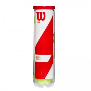 Wilson Team Practice Μπαλάκια Τένις για Προπόνηση 4τμχ (WRT111900) Wilson Team Practice Μπαλάκια Τένις για Προπόνηση 4τμχ (WRT111900)